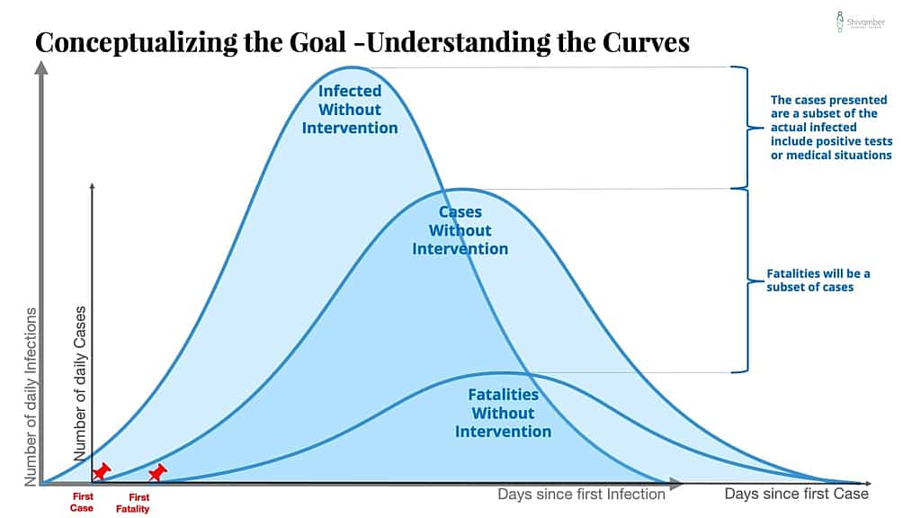 Conceptualizing the Goal of COVID-19 Strategy - Understanding the Curves