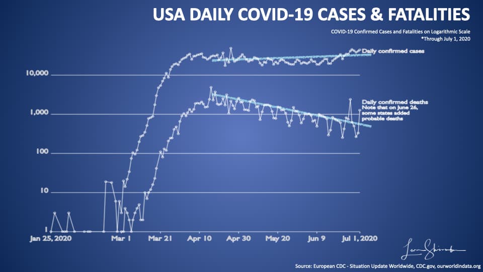 USA Daily COVID-19 Cases and Fatalities logaritmic scale